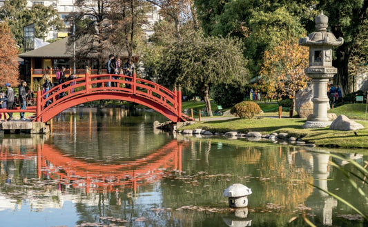 Momento zen (antes del caos) 🧘‍♀️ Jardin Japones